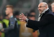 Peter Bosz nowym trenerem Borussii Dortmund