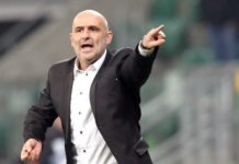 Cracovia szykuje wielką ofensywę transferową Michał Probierz