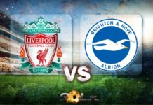 Premier League TYPY do meczu Liverpool – Brighton Premier League typy