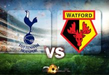 Carabao Cup typy do meczu Tottenham – Watford tottenham vs watford carabao cup typy