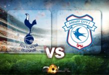 Premier League TYPY do meczu Tottenham – Cardiff City Premier League TYPY