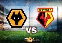 Premier League TYPY do meczu Wolverhampton – Watford Premier League TYPY
