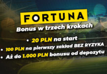 eFortuna – odbierzcie wyjątkowy bonus!